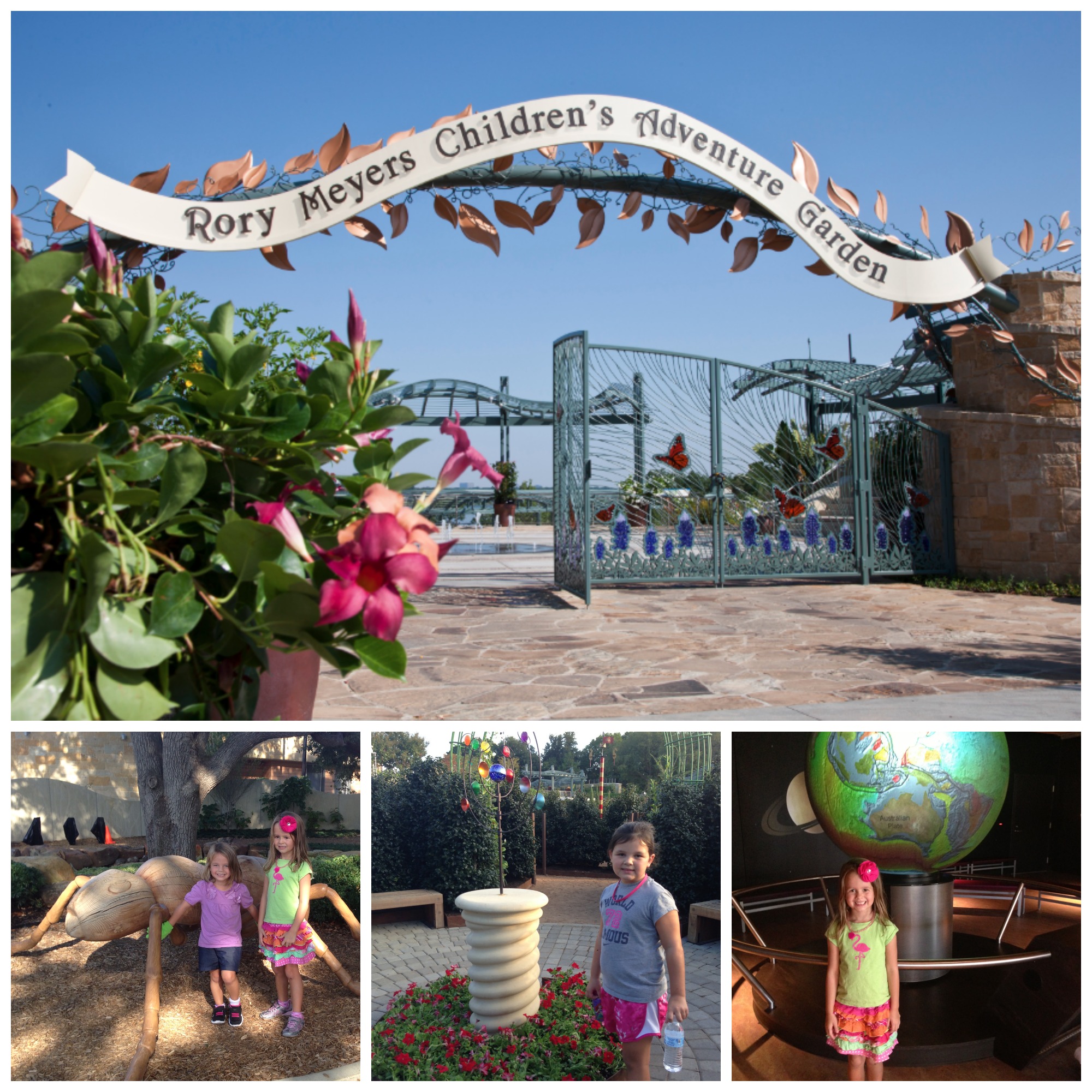 Rory Meyers Children's Adventure Garden My Crazy Savings