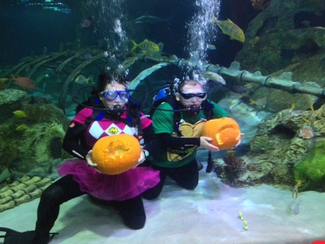Underwater Pumpkin Carving