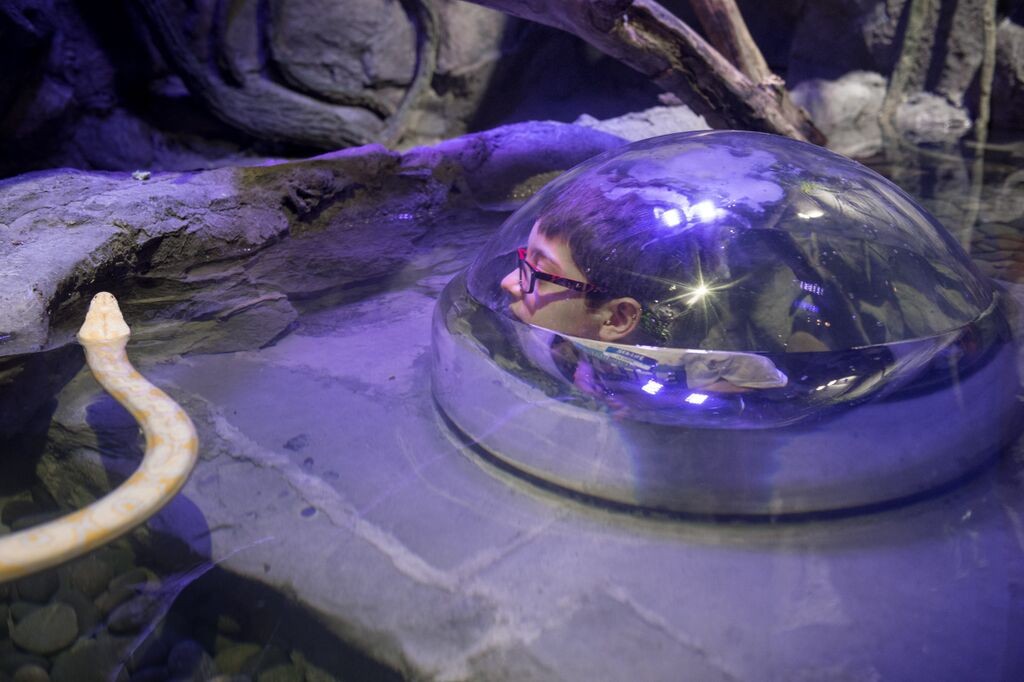 3ymcZmvqq6pTmmn8K1lNln3c1dP0gRk_p3VMkpIDWTs,hWzWSYwVe62mCab6AtwWx8rhBqC2-u9gnucVGpOIn1c