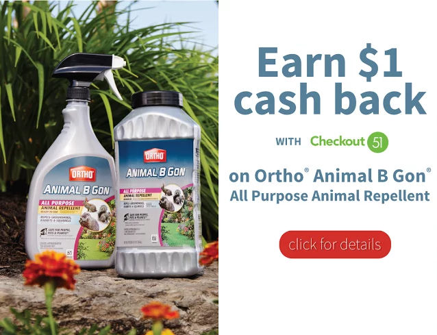 Screen Shot 2016-04-28 at 10.32.15 AM