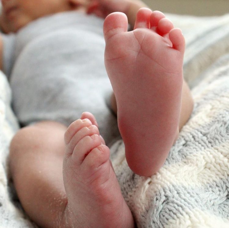 12345590_10208098421681986_3776695245131900228_n